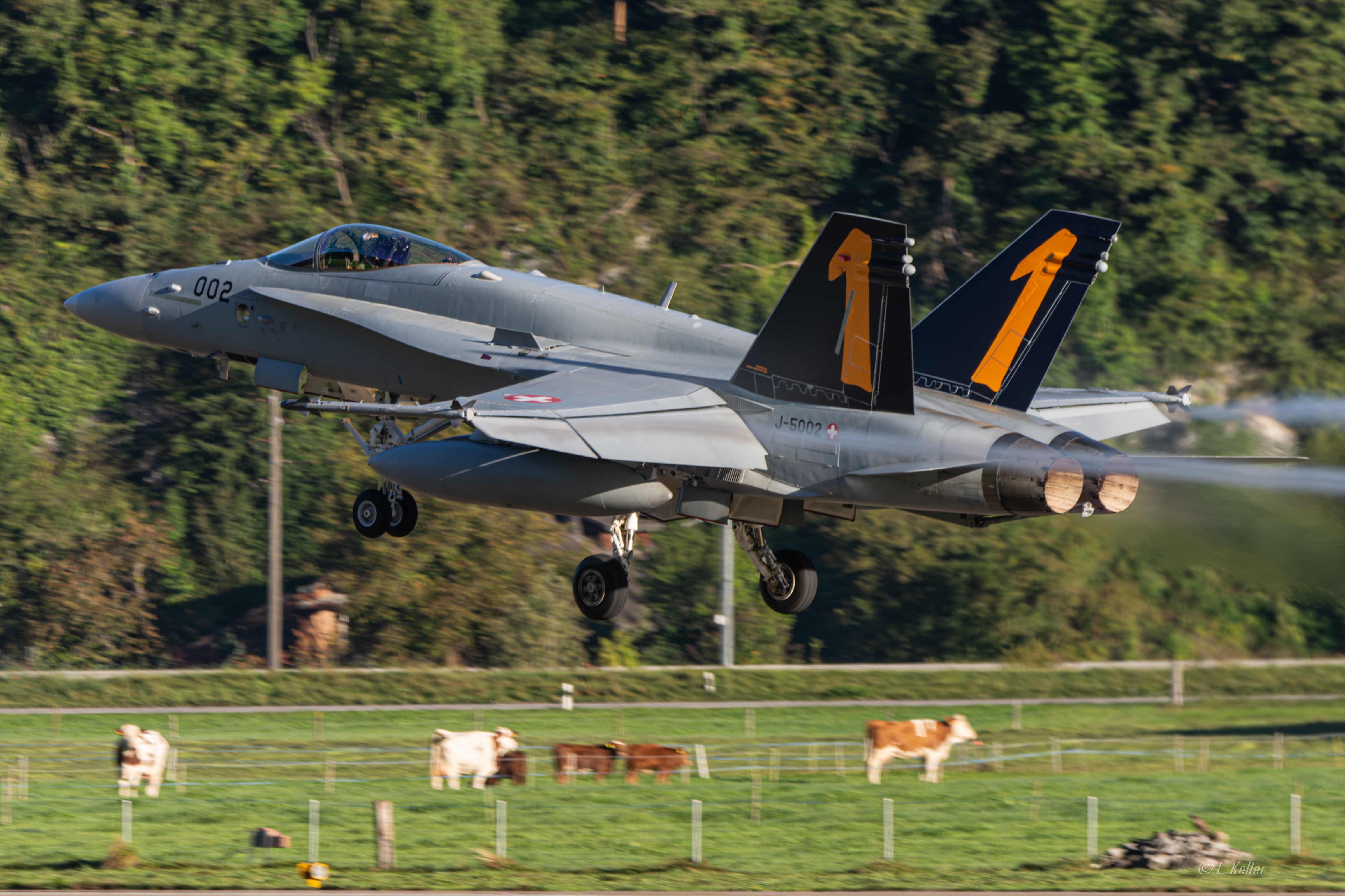 Hornet Tiger en départ – Meiringen