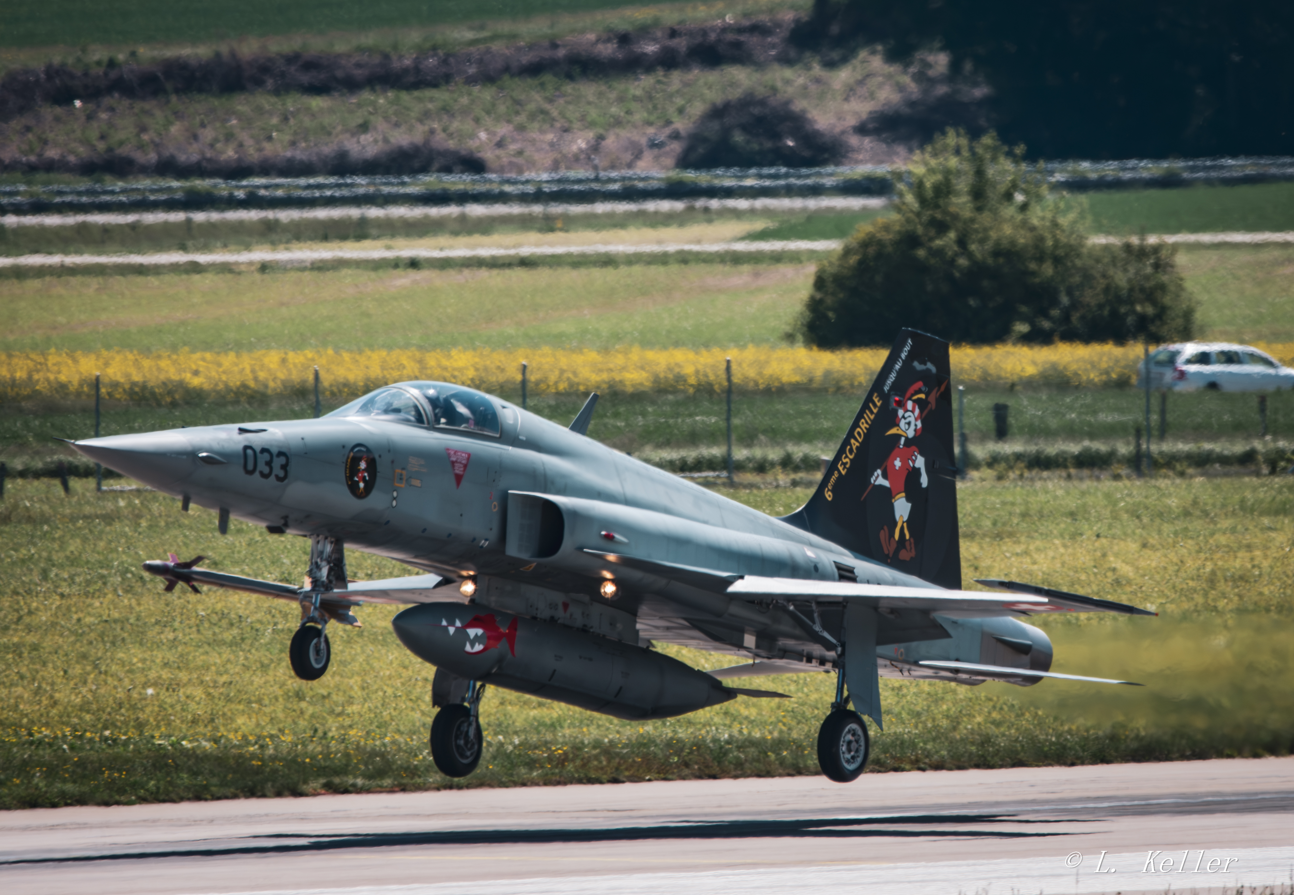 F-5 Tiger II suisse
